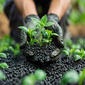 Fertilizers & Agricultural